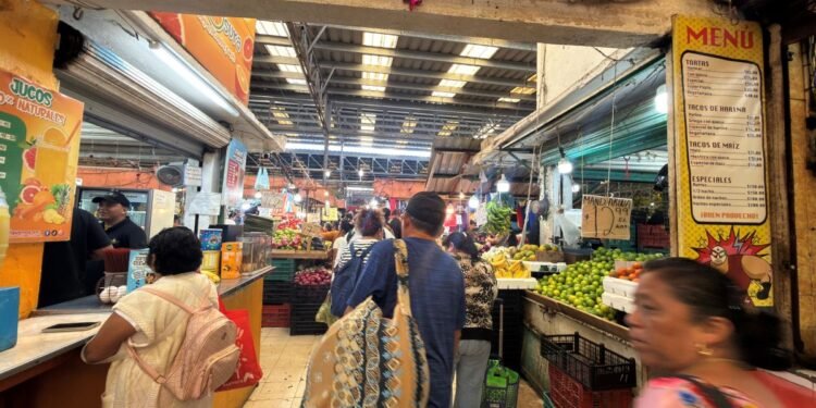 ¿Eres locatario en Mérida? Esta es tu oportunidad para regularizarte