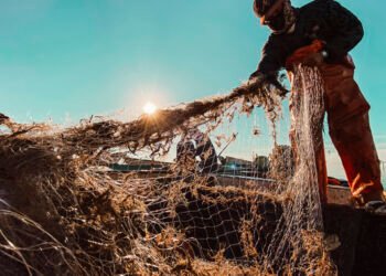 Pescadores afectados por derrame recibirán 15 mil pesos sin intermediarios