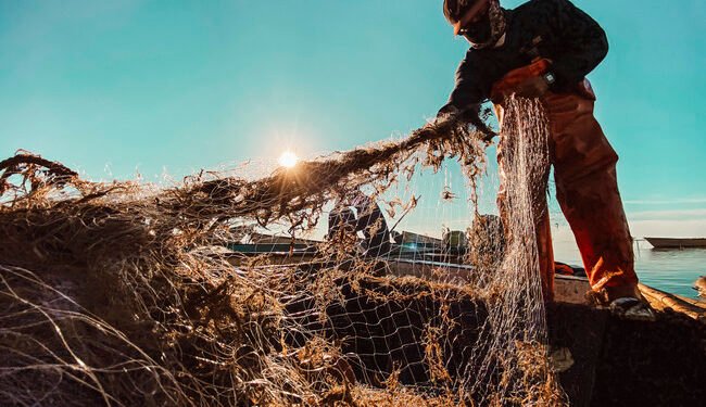 Pescadores afectados por derrame recibirán 15 mil pesos sin intermediarios