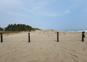 Esta playa en Chiapas es clave para las tortugas. Así las están protegiendo