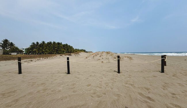 Esta playa en Chiapas es clave para las tortugas. Así las están protegiendo