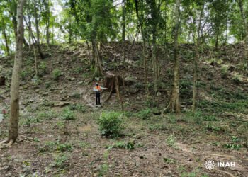 “El Jefeciño”: Conoce el sitio maya oculto que emerge en la selva de Quintana Roo