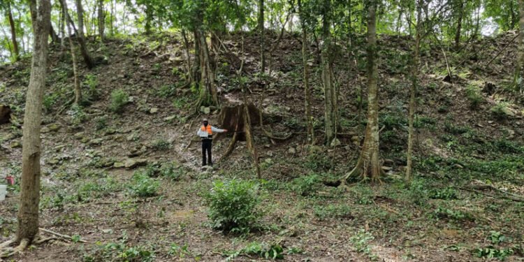 “El Jefeciño”: Conoce el sitio maya oculto que emerge en la selva de Quintana Roo
