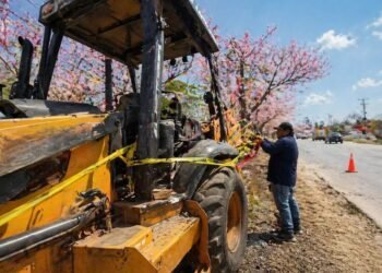 Tala ilegal en Cholul desata indignación. Así vecinos de Cholul frenaron la obra
