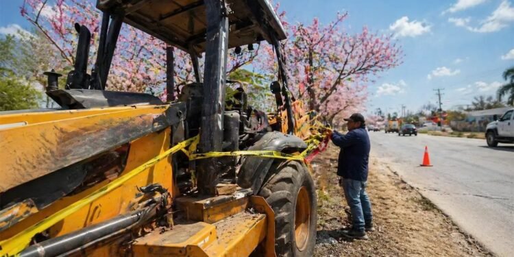 Tala ilegal en Cholul desata indignación. Así vecinos de Cholul frenaron la obra