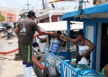 Arranca temporada de captura de mero