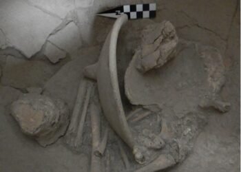 Estudio de urnas en Cansacbé aporta nuevas claves sobre la cosmovisión funeraria maya