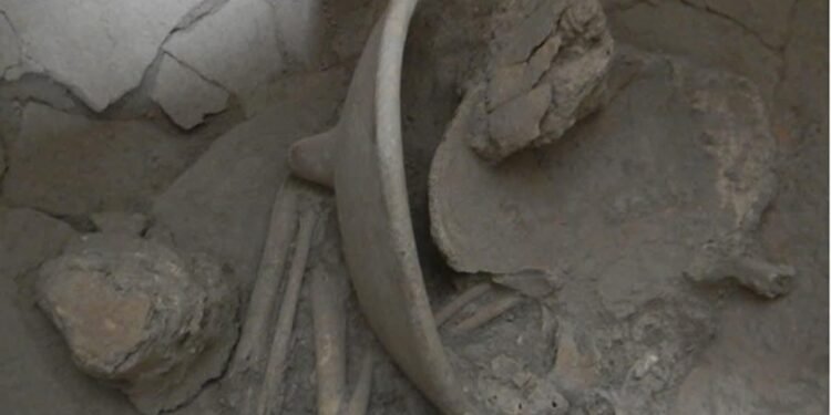 Estudio de urnas en Cansacbé aporta nuevas claves sobre la cosmovisión funeraria maya