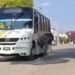 “Beep beep”: avestruz escapa y arma persecución viral en Tepotzotlán; el ejemplar ya fue resguardado