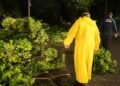 Kanasín despliega operativo de emergencia tras tormenta; árboles bloquean calles y afectan la luz