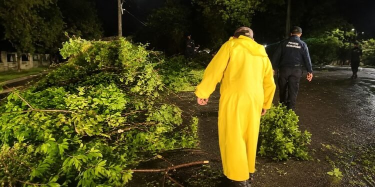 Kanasín despliega operativo de emergencia tras tormenta; árboles bloquean calles y afectan la luz