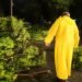 Kanasín despliega operativo de emergencia tras tormenta; árboles bloquean calles y afectan la luz