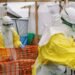 ¿Habrá nuevos protocolos? OMS advierte que brote de ébola en Congo sería mayor y crecen dudas rumbo al Mundial