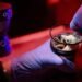 De la ciencia ficción al laboratorio; nacen polluelos en huevos artificiales