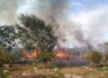 UNAM crea “mapa del humo” para anticipar contaminación e incendios en Yucatán