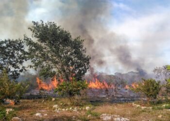 UNAM crea “mapa del humo” para anticipar contaminación e incendios en Yucatán