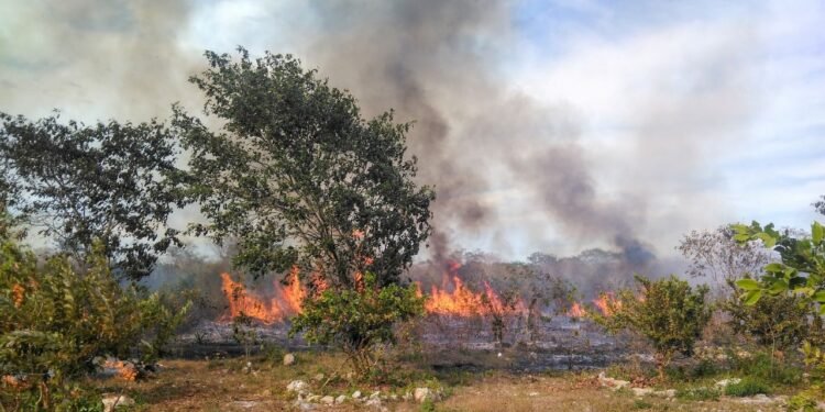 UNAM crea “mapa del humo” para anticipar contaminación e incendios en Yucatán