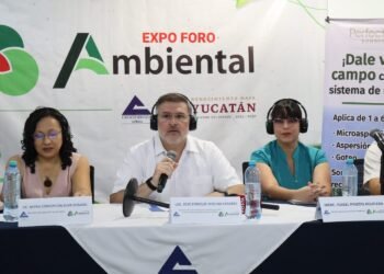 Mérida prepara una Expo Ambiental histórica; esperan regalar más de 8 mil árboles