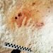 Descubren misteriosas huellas mayas ocultas en una cueva de Homún