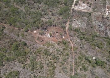 ¿Qué pasó en Cuxtal? Clausuran predio por daños ambientales y detienen deforestación