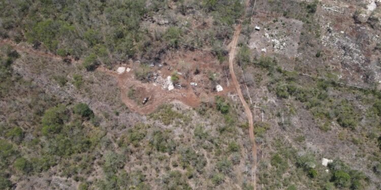 ¿Qué pasó en Cuxtal? Clausuran predio por daños ambientales y detienen deforestación