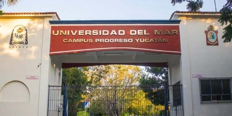 La nueva Universidad del Mar ya tiene fecha de arranque; esto es lo que sabemos del proyecto