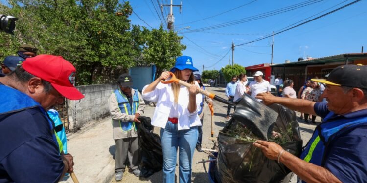 ¿Qué encontraron en la Manzana 115? Desde autos abandonados hasta rejillas colapsadas