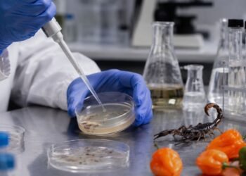 ¿Picante contra las bacterias? Científicos mexicanos crean antibióticos con veneno de alacrán y habanero