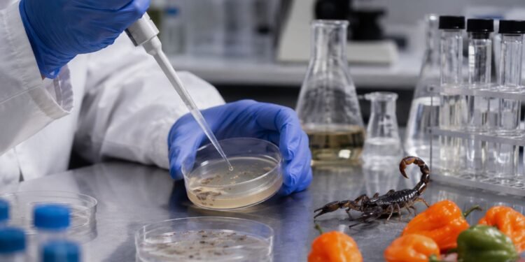 ¿Picante contra las bacterias? Científicos mexicanos crean antibióticos con veneno de alacrán y habanero
