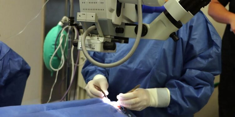 Donación de cornea regresa la vista a una abuelita y reactivan operaciones en Yucatán