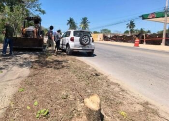 El talar maculís sale caro: Mérida impone sanción histórica de 2.9 mdp a constructora