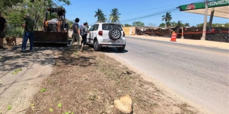 El talar maculís sale caro: Mérida impone sanción histórica de 2.9 mdp a constructora
