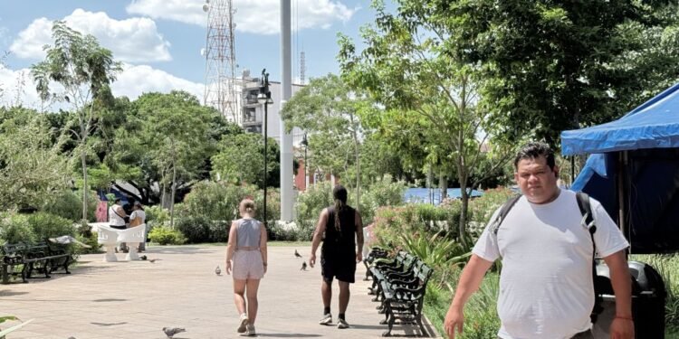 ¿Ves más extranjeros en la calle? Ya no están turisteando, buscan quedarse en Mérida