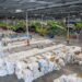 El PET encuentra una segunda oportunidad; Coca-Cola FEMSA impulsa reciclaje en América Latina