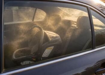¿Dejarías a tu hijo o mascota en el auto “un minuto”? Piénsalo. El calor puede matarlos