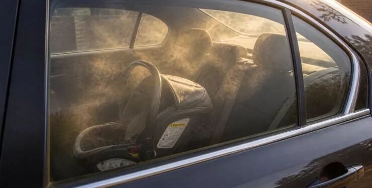 ¿Dejarías a tu hijo o mascota en el auto “un minuto”? Piénsalo. El calor puede matarlos
