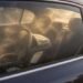¿Dejarías a tu hijo o mascota en el auto “un minuto”? Piénsalo. El calor puede matarlos