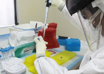 ¿El Ébola ya preocupa a México? Salud toma medidas preventivas para viajeros