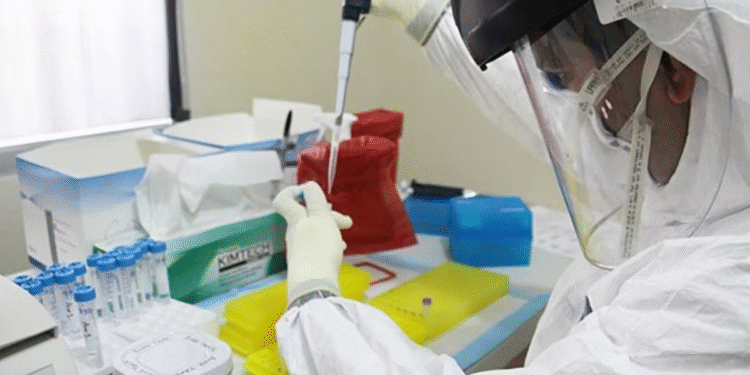 ¿El Ébola ya preocupa a México? Salud toma medidas preventivas para viajeros