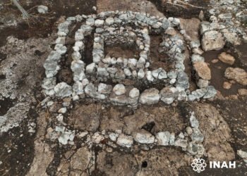 ¿Qué ocultaba el suelo del Tren Maya? Esto encontraron a su paso
