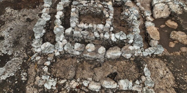 ¿Qué ocultaba el suelo del Tren Maya? Esto encontraron a su paso