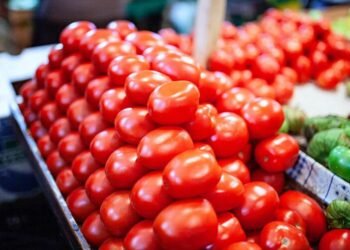 Lluvias y sobreoferta hunden el precio del tomate en Yucatán. ¿Ya lo notaste?