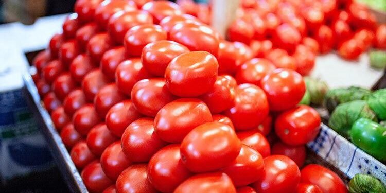 Lluvias y sobreoferta hunden el precio del tomate en Yucatán. ¿Ya lo notaste?