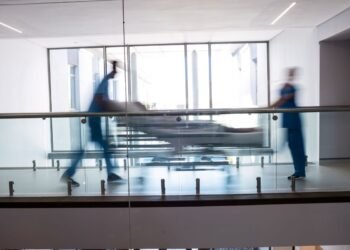 ¿Llegó el hantavirus a México? La Secretaría de Salud responde y activa alerta nacional