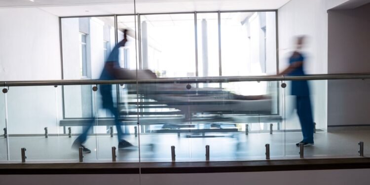 ¿Llegó el hantavirus a México? La Secretaría de Salud responde y activa alerta nacional