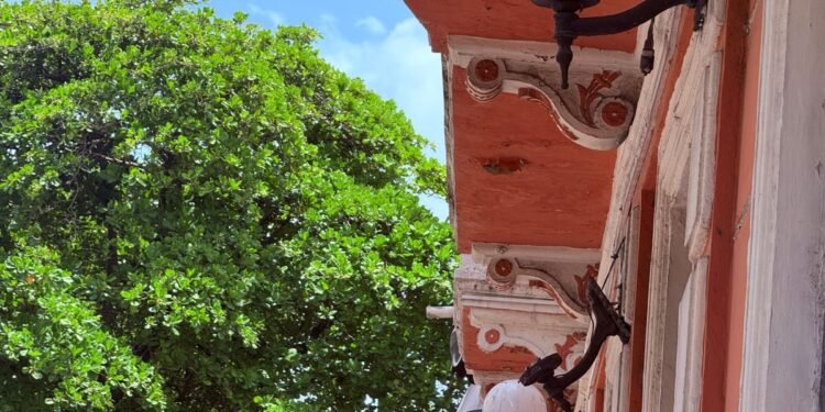 ¿Es seguro caminar por el Centro? Más de 350 predios presentan daños estructurales
