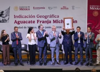 Franja Michoacán, el nuevo sello que busca blindar al aguacate mexicano