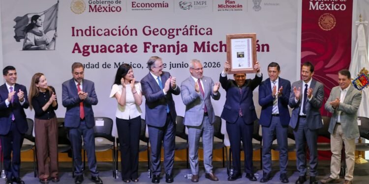 Franja Michoacán, el nuevo sello que busca blindar al aguacate mexicano