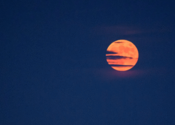 La Luna de Fresa ya viene; así podrás disfrutar el espectáculo más esperado del cielo de junio