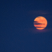 La Luna de Fresa ya viene; así podrás disfrutar el espectáculo más esperado del cielo de junio
